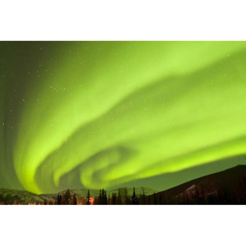 AK, Fairbanks Aurora borealis fill the night sky White Modern Wood Framed Art Print by Illg, Cathy and Gordon