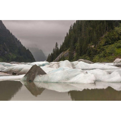 Alaska, Tongass NF Icebergs in Shakes Lake Black Modern Wood Framed Art Print with Double Matting by Illg, Cathy and Gordon