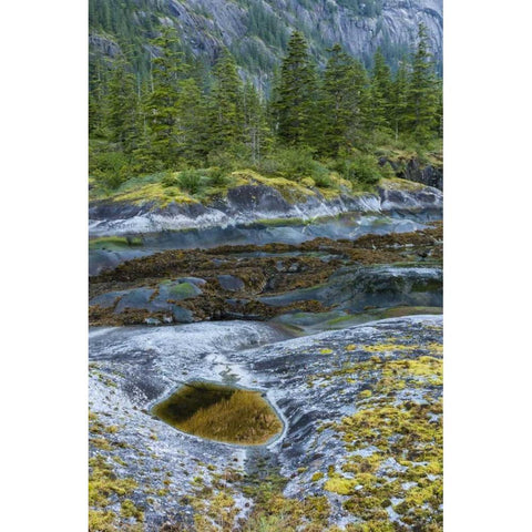Alaska, Tongass NF Scenic view of Fords Terror Black Modern Wood Framed Art Print by Illg, Cathy and Gordon