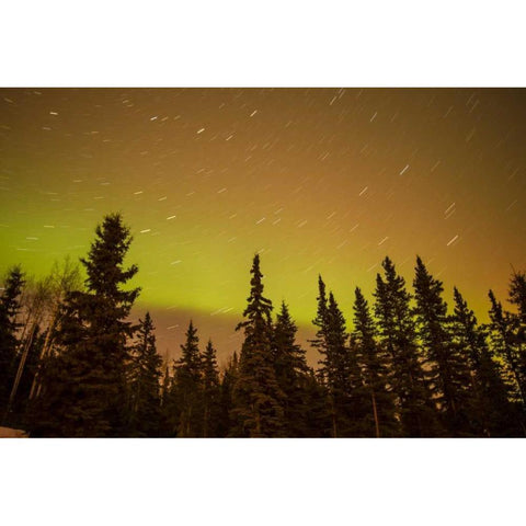 AK, Fairbanks Aurora borealis and star trails Black Modern Wood Framed Art Print with Double Matting by Illg, Cathy and Gordon