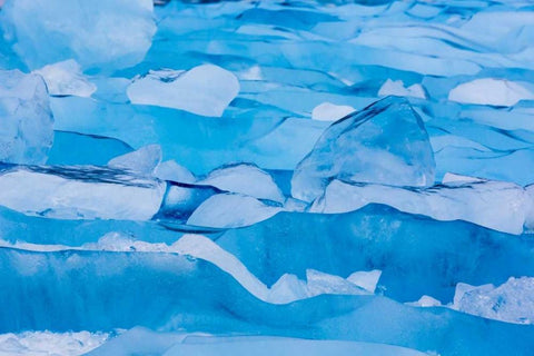 USA, Alaska, Glacier Bay NP Close-up of blue ice Black Ornate Wood Framed Art Print with Double Matting by Paulson, Don