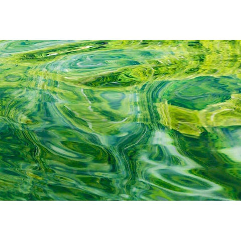 AK, Glacier Bay Abstract of water in Dundas Bay Black Modern Wood Framed Art Print with Double Matting by Paulson, Don