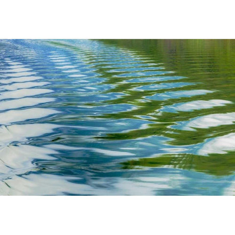 AK, Glacier Bay NP Boat wake in Dundas Bay White Modern Wood Framed Art Print by Paulson, Don