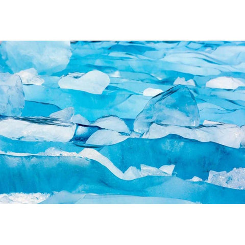 Alaska, Glacier Bay NP Close-up of blue ice Black Modern Wood Framed Art Print by Paulson, Don