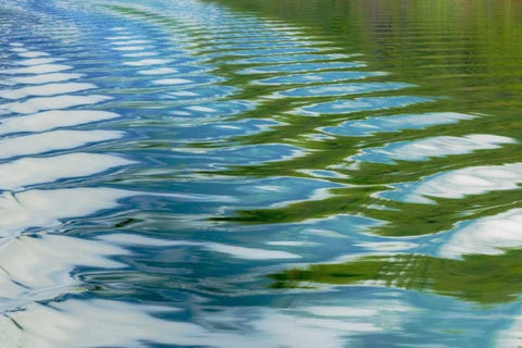 Alaska, Glacier Bay NP Boat wake in Dundas Bay Black Ornate Wood Framed Art Print with Double Matting by Paulson, Don