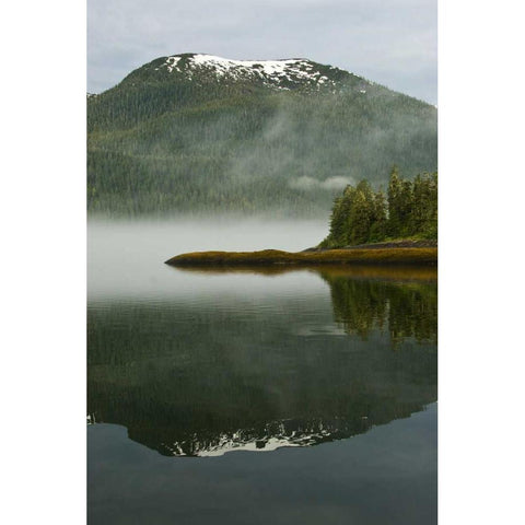 USA, Alaska Morning fog on lake Gold Ornate Wood Framed Art Print with Double Matting by Rotenberg, Nancy