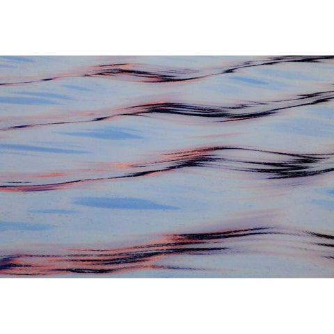 Alaska, Glacier Bay NP Water reflections Black Modern Wood Framed Art Print by Paulson, Don