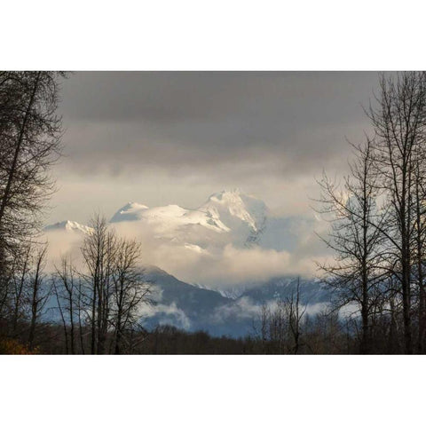 Alaska, Chilkat River Valley Snowy mountains White Modern Wood Framed Art Print by Illg, Cathy and Gordon