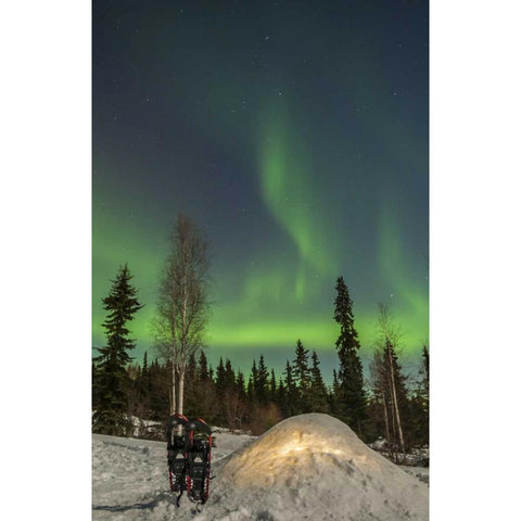 AK A quinzee snow shelter and aurora borealis Black Modern Wood Framed Art Print by Illg, Cathy and Gordon