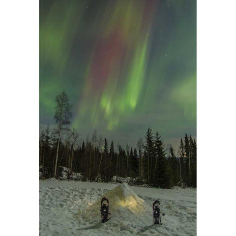 AK A quinzee snow shelter and aurora borealis Black Modern Wood Framed Art Print by Illg, Cathy and Gordon