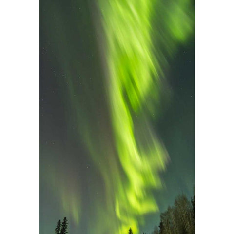 Alaska, Central Alaska, Aurora, Northern Lights Black Modern Wood Framed Art Print by Illg, Cathy and Gordon