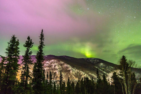 Alaska-Fairbanks Aurora borealis over mountain landscape White Modern Wood Framed Art Print with Double Matting by Jaynes Gallery