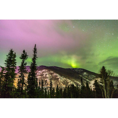 Alaska-Fairbanks Aurora borealis over mountain landscape Black Modern Wood Framed Art Print by Jaynes Gallery