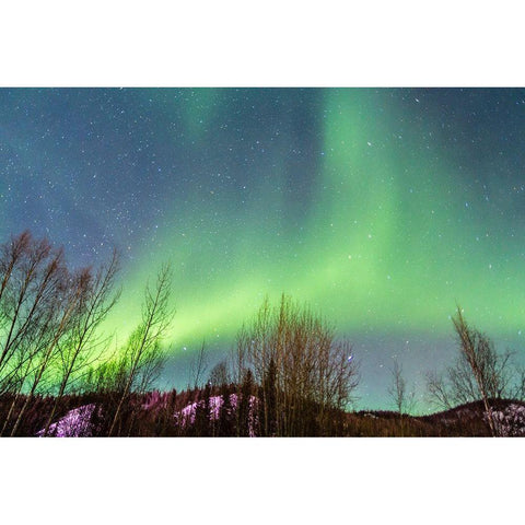 Alaska-Fairbanks Aurora borealis over mountain landscape White Modern Wood Framed Art Print by Jaynes Gallery