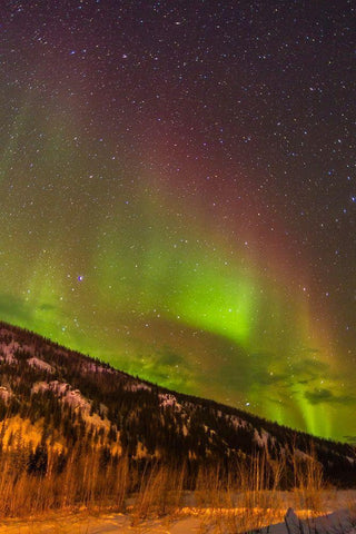 Alaska-Fairbanks Aurora borealis over mountain landscape Black Ornate Wood Framed Art Print with Double Matting by Jaynes Gallery