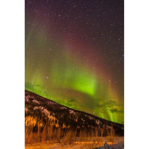 Alaska-Fairbanks Aurora borealis over mountain landscape Black Modern Wood Framed Art Print by Jaynes Gallery