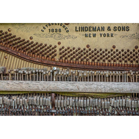 Alaska-Sitka Discarded Lindeman and Sons piano close-up  White Modern Wood Framed Art Print by Jaynes Gallery