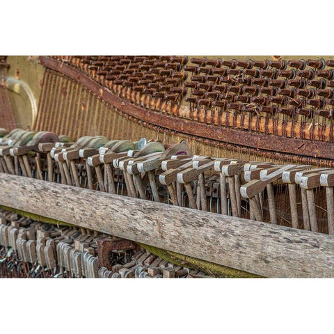 Alaska-Sitka Discarded Lindeman and Sons piano close-up  Gold Ornate Wood Framed Art Print with Double Matting by Jaynes Gallery