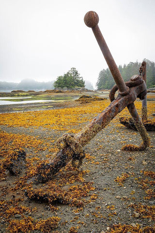 Alaska-Sitka Old anchors at ocean low tide  Black Ornate Wood Framed Art Print with Double Matting by Jaynes Gallery