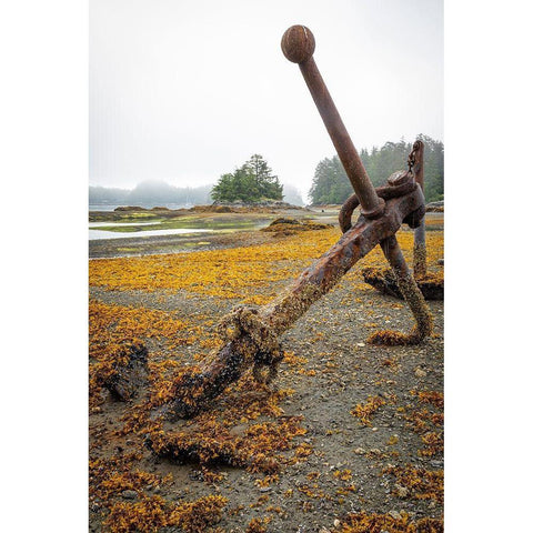 Alaska-Sitka Old anchors at ocean low tide  Gold Ornate Wood Framed Art Print with Double Matting by Jaynes Gallery