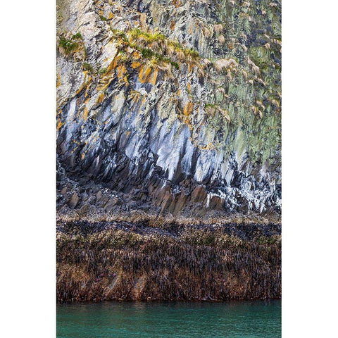 Alaska-Sitka Rocky cliffs of St Lazaria Island  Gold Ornate Wood Framed Art Print with Double Matting by Jaynes Gallery