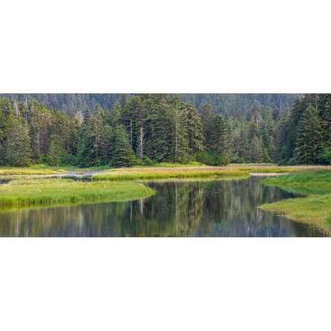 Alaska Panoramic of meadow at high tide in Tongass National Forest  White Modern Wood Framed Art Print by Jaynes Gallery