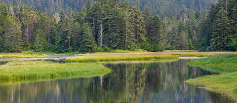 Alaska Panoramic of meadow at high tide in Tongass National Forest  White Modern Wood Framed Art Print with Double Matting by Jaynes Gallery