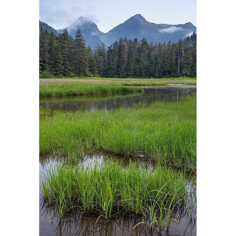 Alaska-Sitka Meadow at high tide in Tongass National Forest  Black Modern Wood Framed Art Print by Jaynes Gallery
