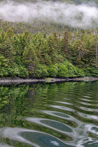 Alaska-Tongass National Forest Boat wake ripples in Mirror Harbor  Black Ornate Wood Framed Art Print with Double Matting by Jaynes Gallery