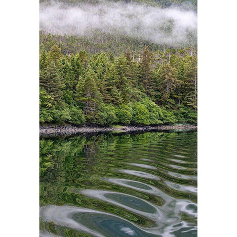 Alaska-Tongass National Forest Boat wake ripples in Mirror Harbor  Black Modern Wood Framed Art Print by Jaynes Gallery