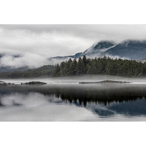 Alaska-Tongass National Forest Reflections in Mirror Harbor  White Modern Wood Framed Art Print by Jaynes Gallery