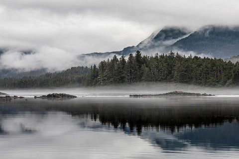Alaska-Tongass National Forest Reflections in Mirror Harbor  Black Ornate Wood Framed Art Print with Double Matting by Jaynes Gallery