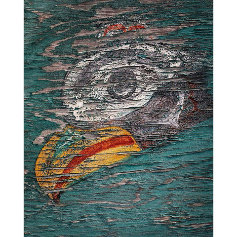 Alaska-Pelican Weathered painting of bird head  Black Modern Wood Framed Art Print with Double Matting by Jaynes Gallery