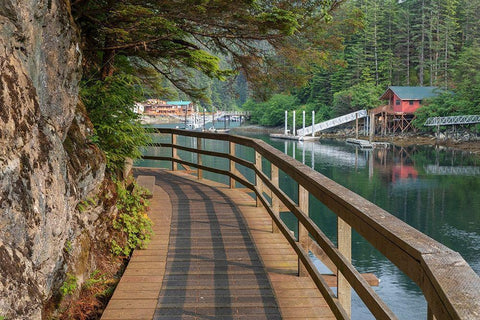 Alaska-Elfin Cove Boardwalk next to bay  White Modern Wood Framed Art Print with Double Matting by Jaynes Gallery