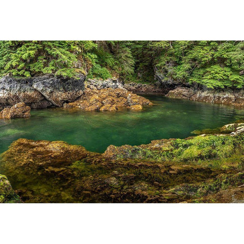 Alaska-Chichagof Island Basket Creek scenic  Black Modern Wood Framed Art Print with Double Matting by Jaynes Gallery