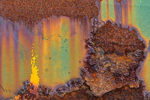 Alaska-Tongass National Forest Rusted metal from an abandoned gold mine  White Modern Wood Framed Art Print with Double Matting by Jaynes Gallery