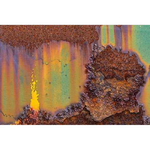 Alaska-Tongass National Forest Rusted metal from an abandoned gold mine  Black Modern Wood Framed Art Print by Jaynes Gallery