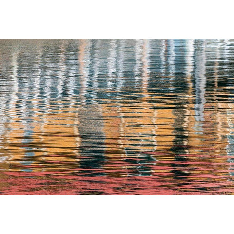 Alaska-Elfin Cove Reflections in the harbor water  White Modern Wood Framed Art Print by Jaynes Gallery