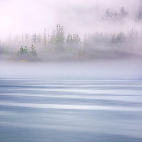 Alaska-Endicott Arm Foggy morning at Fords Terror Black Modern Wood Framed Art Print by Jaynes Gallery