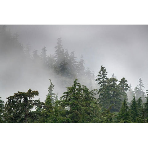 Usa-Alaska Mists-fog and rain for the coastal temperate rainforest in Southeast Alaska Black Modern Wood Framed Art Print with Double Matting by Sederquist, Betty