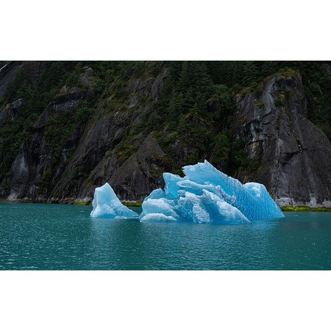 Usa-Alaska This perfect iceberg floats in the blue waters of Endicott Arm Gold Ornate Wood Framed Art Print with Double Matting by Sederquist, Betty