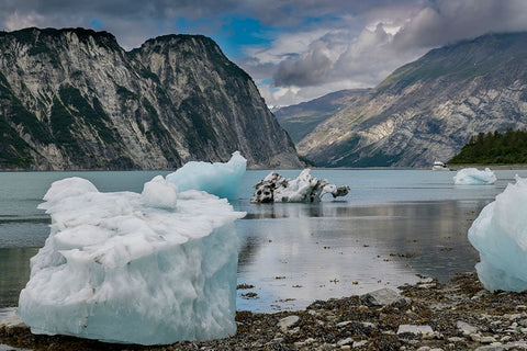 Beached icebergs from nearby McBride Glacier sit on a Muir Inlet beach. Black Ornate Wood Framed Art Print with Double Matting by Sederquist, Betty