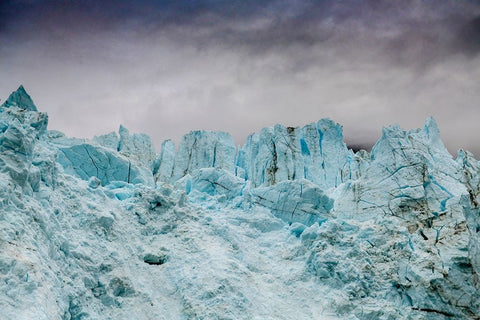 Blue ice characterizes the face of Margerie Glacier. Black Modern Wood Framed Art Print by Sederquist, Betty