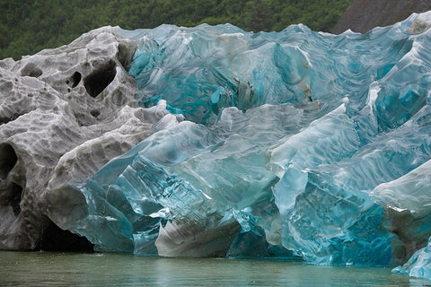 Icebergs in Endicott Arm have amazing patterns. Black Ornate Wood Framed Art Print with Double Matting by Sederquist, Betty