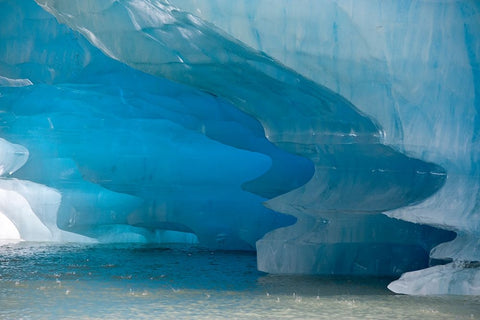 Melting patterns are amazing on this iceberg in Shakes Lake. Black Ornate Wood Framed Art Print with Double Matting by Sederquist, Betty