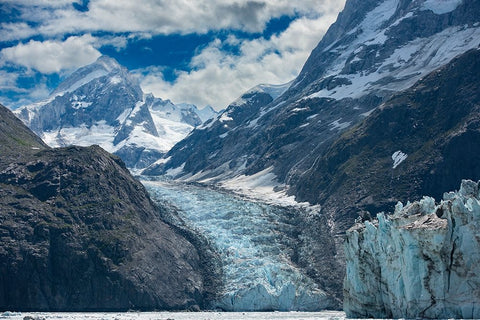 Mighty mountains towering above an unnamed glacier in Johns Hopkins Inlet. Black Ornate Wood Framed Art Print with Double Matting by Sederquist, Betty