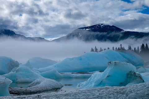 These blue icebergs are grounded in Shakes Lake. Black Ornate Wood Framed Art Print with Double Matting by Sederquist, Betty