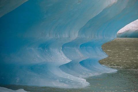 Blue iceberg glows in Shakes Lake. Black Ornate Wood Framed Art Print with Double Matting by Sederquist, Betty