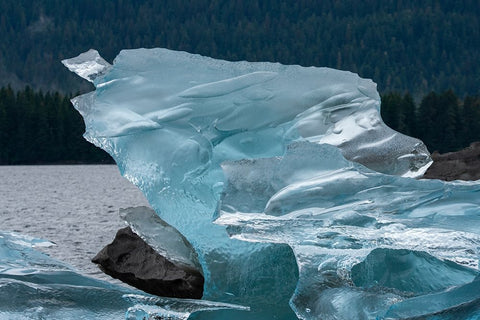 Crystalline iceberg shines in Endicott Arm. Black Ornate Wood Framed Art Print with Double Matting by Sederquist, Betty