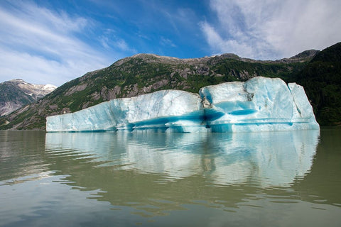 Huge iceberg slowly melts in Shakes Lake. Black Ornate Wood Framed Art Print with Double Matting by Sederquist, Betty